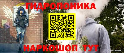 Альфа ПВП Анапа